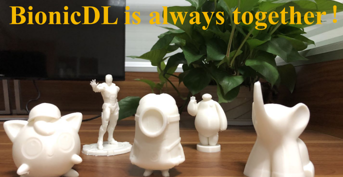 To The Members in Hubei: BionicDL IS Always Together！