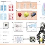机器人“第六感”的本体感知学习｜Enable Robot’s “Sixth Sense” via Proprioceptive Learning